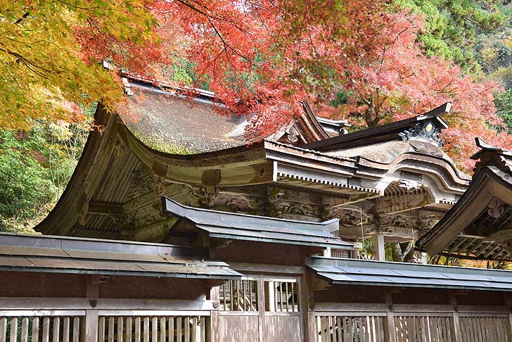 大矢田神社の本殿