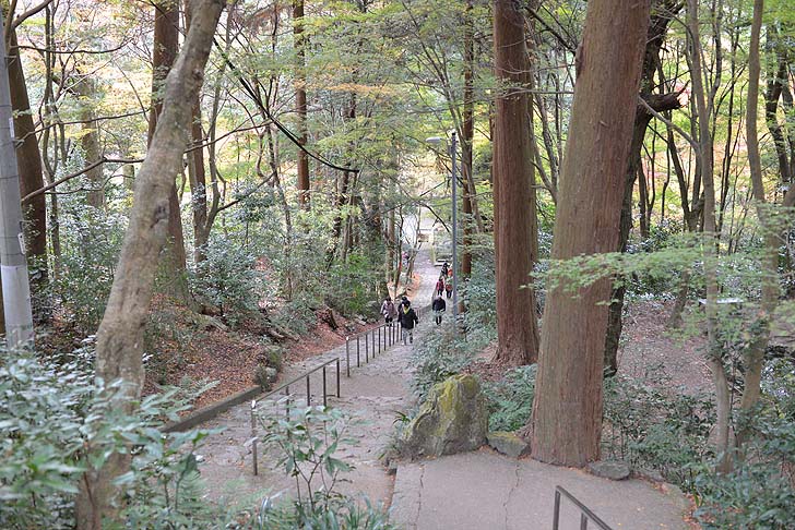 大矢田神社の階段