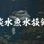 淡水魚専門の水族館アクアトト